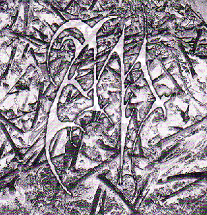 A.N. - s/t - 7"EP