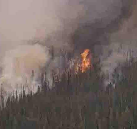 ANICON - exegeses - DIGICD