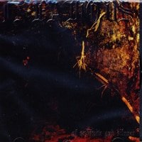 INFAMOUS - of solitude and silence - CD