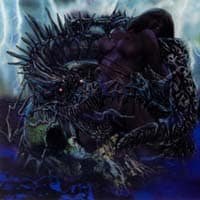 PUKELIZATION - storm of resurrection - CD