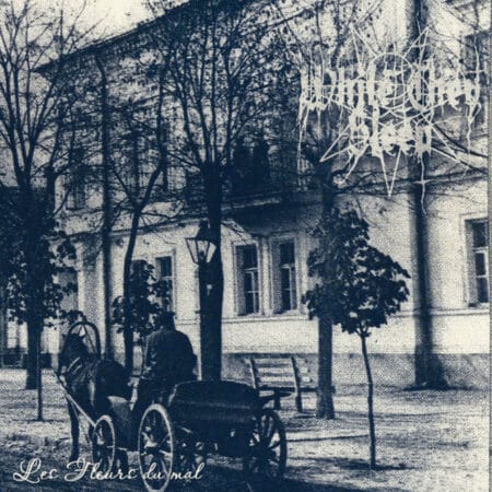 while they sleep les fleurs du mal cd