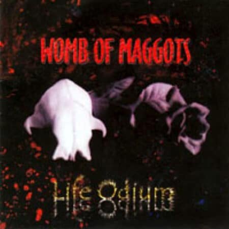 womb of maggots life odium