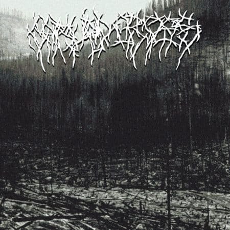 CARVED CROSS - carved cross - DIGICD