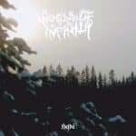 WOODS OF INFINITY - hejdå - DOUBLE LP