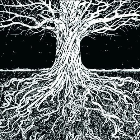 INFANDOUS - blood, the sun, and the cosmos - DIGICD