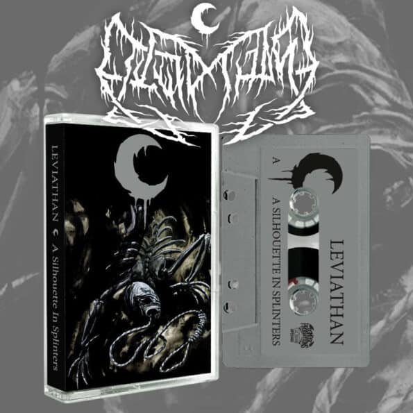 leviathan a silhouette in splinters t