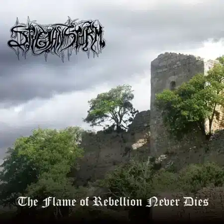 stygian storm the flame of rebellion never dies digicd