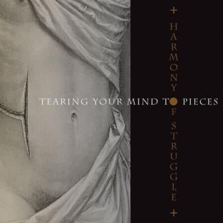 harmony of struggle tearing your mind to pieces digicd