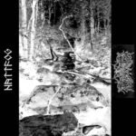 nattfog / nekrokrist ss – nattfog / nekrokrist ss cd