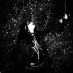 maleficientt night of eternal darkness lp