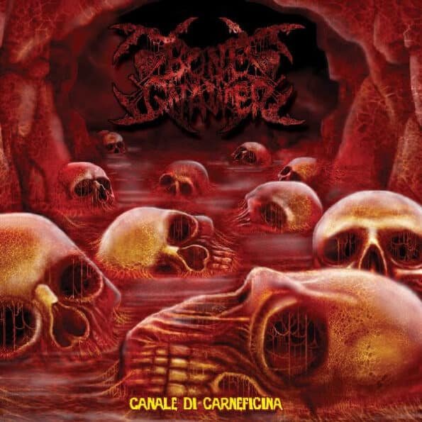 bone gnawer canale di carneficina mcd