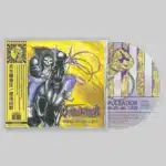 rudra brahmavidya: transcendental i cd (copy)