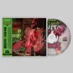 rudra brahmavidya: transcendental i cd (copy)