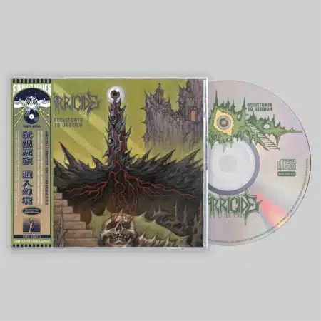 rudra brahmavidya: transcendental i cd (copy)
