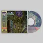 rudra brahmavidya: transcendental i cd (copy)