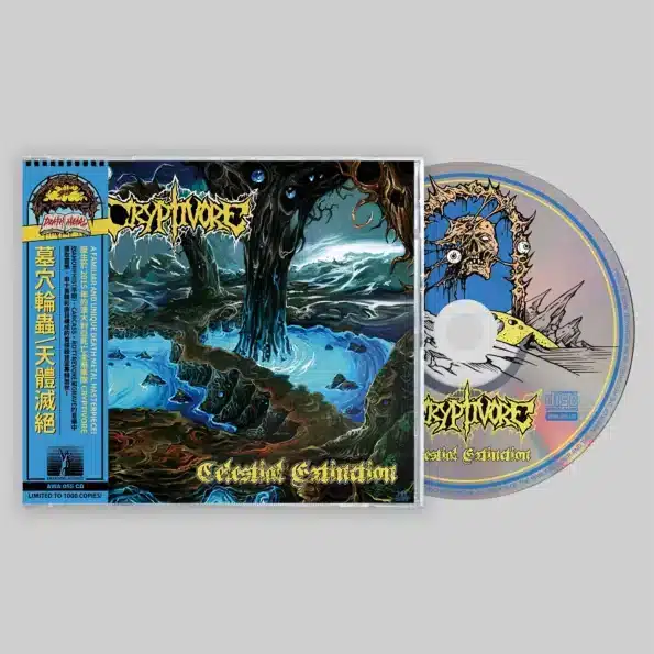 rudra brahmavidya: transcendental i cd (copy)