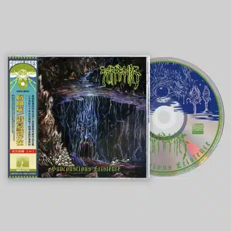 rudra brahmavidya: transcendental i cd (copy)