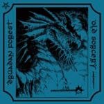 druadan forest / old sorcery split blue lp