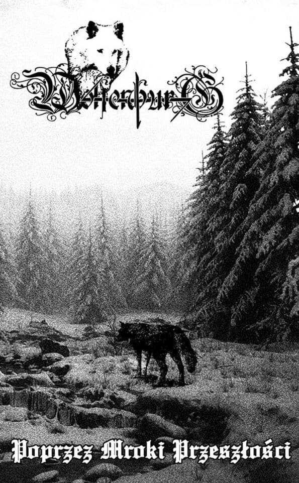 wolfenburg poprzez mroki przeszłości cd (copy)