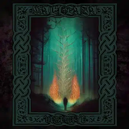 waeltaja heremite digicd