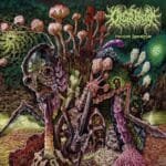 blood feast infinite evolution cd (copy)