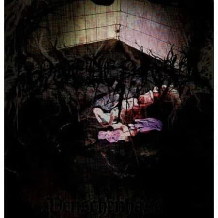 niemalsland weltenflug cd (copy)