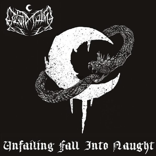 leviathan unfailing fall into naught cd