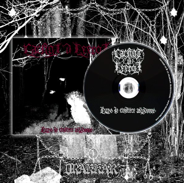 gestapo 666 swastika of satan cd (copy)
