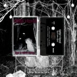 gestapo 666 swastika of satan cd (copy)