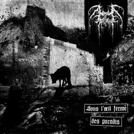 oes galliath sous l'œil fermé des paradis double purple lp