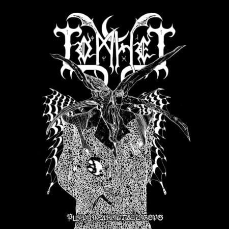 tomhet purpureargotamiceps picture lp