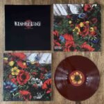 necromantic worship necromantic worship lp (copy)