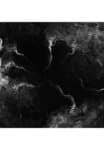 warloghe womb of pestilence cd (copy)