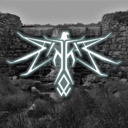 eternal strife vinlandic hate brigade digicd (copy)