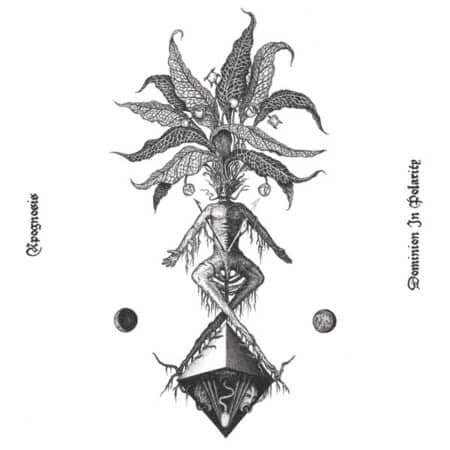 apognosis phase 6 black lp (copy)