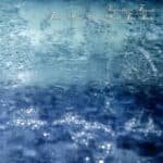 mist snowy nocturnal forest and stellar sky cd (copy)