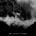mist snowy nocturnal forest and stellar sky cd (copy)