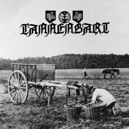 circle of ouroborus ajattoman uni digicd