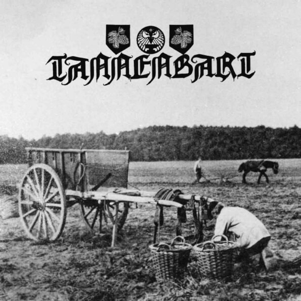 circle of ouroborus ajattoman uni digicd