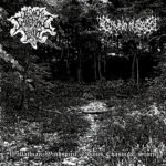 todesstrafe the northern hammer returns lp