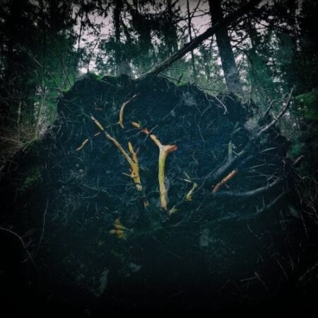 white werewolf si vis pacem, para bellum cd (copy)