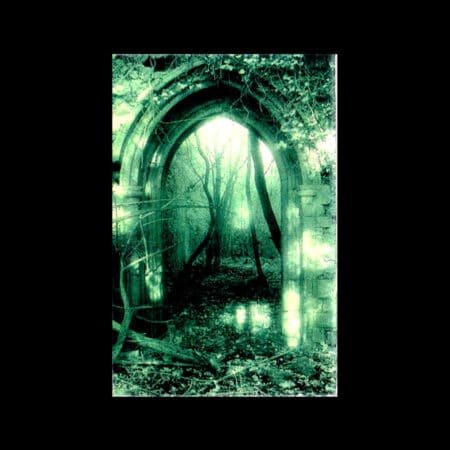 dying fullmoon unter dem thron der sterne green lp