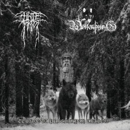 nawia do krwi cd (copy)