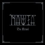 flammersjel the halls of starshining cd (copy)