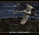 sivij yar / stworz wiecznica digicd