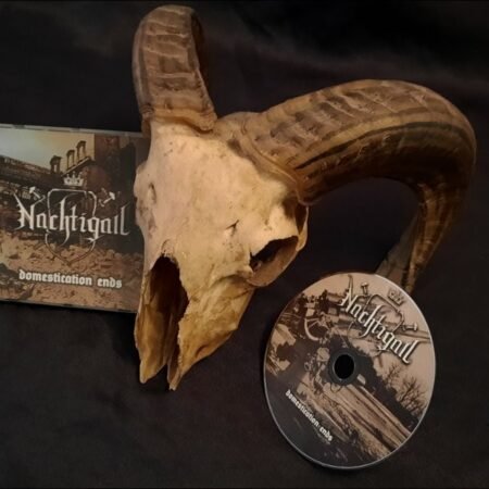heldenasche die gier des stahls cd (copy)