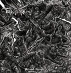 totenburg pestpogrom lp (copy)