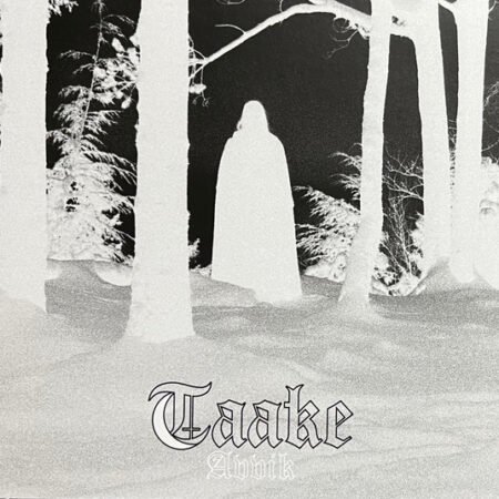 taake avvik digicd
