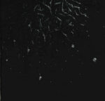 warloghe logos of all that ends cd