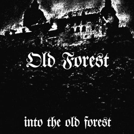 old forest into the old forest black lp